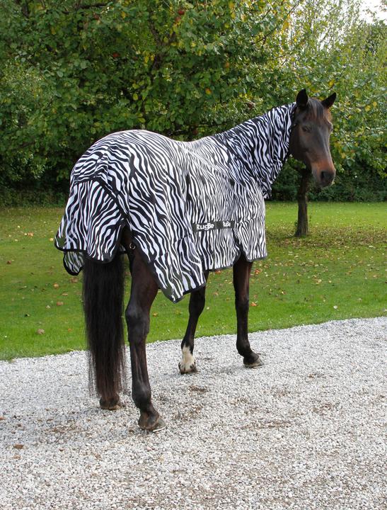 Produktbild Kerbl Fliegendecke Zebra inkl Halsteil (165 cm)