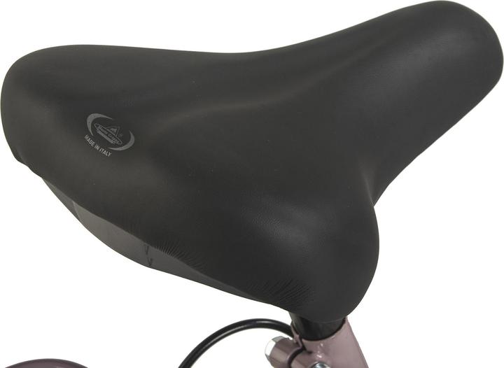 Actual product image Hollandia Dutch bike ladies 28" City Next RH 50 cm 6 gears (50 cm)