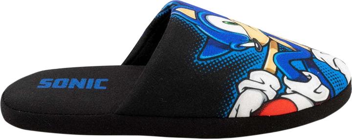 Actual product image Sonic The Hedgehog Slippers (45.5)