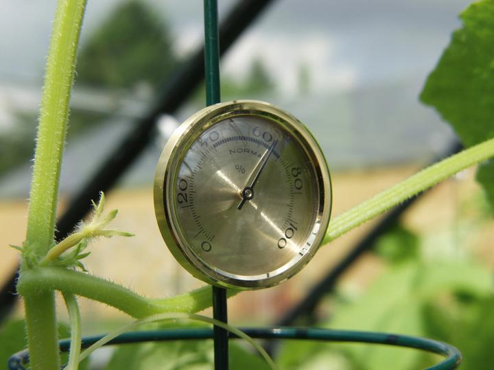 Vitavia Hygrometer