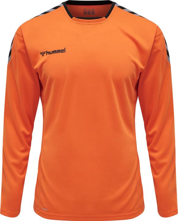 Image du produit hummel Authentic Poly Jersey L/S (S)