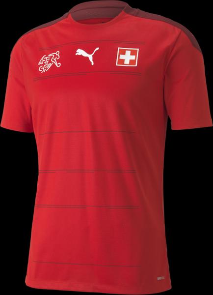 Puma SFV Home Replica (L)