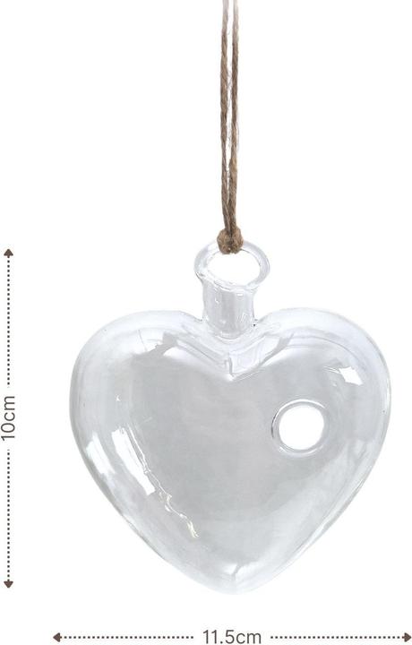 Immagine prodotto Hermex Vaso di vetro appeso (1 x, 11,5 x 4,5 x 10 cm)