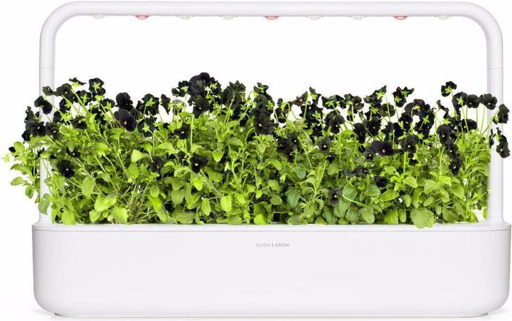 Actual product image Click and Grow Black pansy plant pads (Flower seeds)