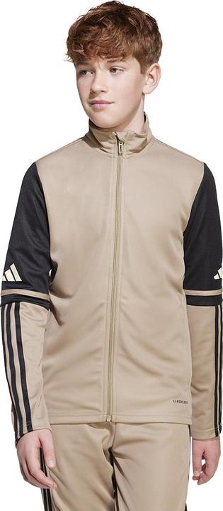 Actual product image adidas Squadra 25 Kids training jacket (176)