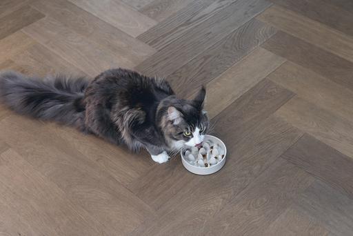 Productafbeelding Designed by Lotte Anti-knaagkom kat Pom (0.41 l)