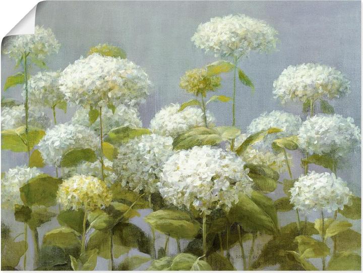 Produktbild Artland Weisser Hortensien Garten B2XF (80 x 60 cm)