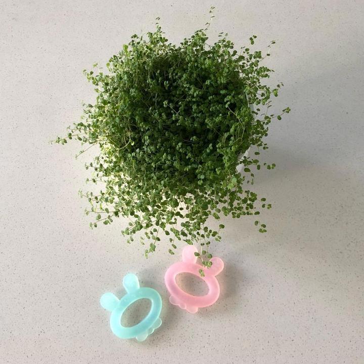 Actual product image Haakaa Teething Ring Rabbit Ear - Blue