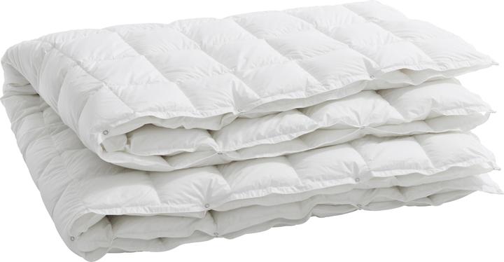 Immagine prodotto Billerbeck Interlaken 100 (560 g, 200 x 210 cm)