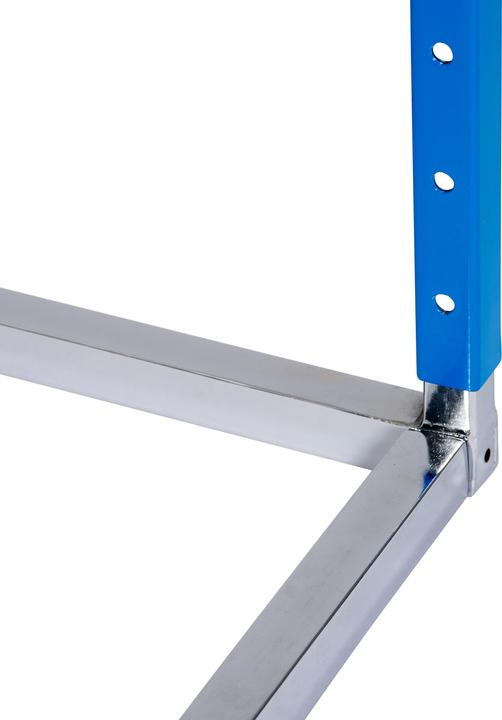Actual product image Sport-Thieme Hurdle Magnetic (4000 g)