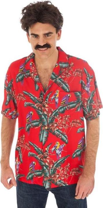 Actual product image Chaks Hollywood carpet (M, XL)