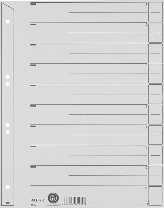 Image du produit Leitz Intercalaires, A4 extra-large, carton kraft 200g/m², gris Les onglets vierges peuvent être utilisés
