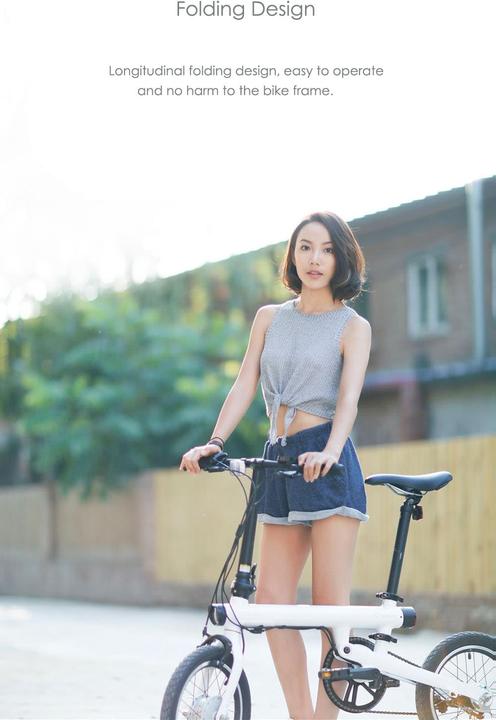 Actual product image Xiaomi QiCycle