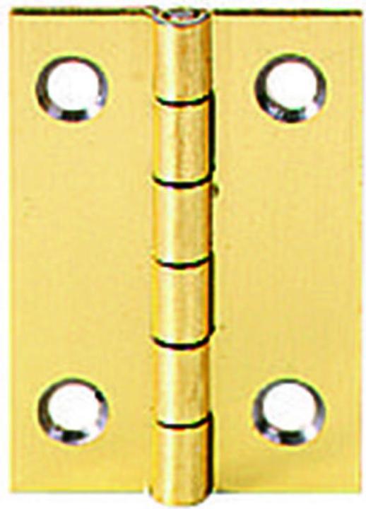 Actual product image Werkstarck Casket hinges 25x20mm steel verme