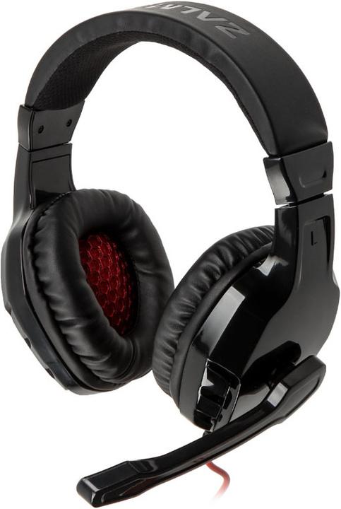 Produktbild Zalman ZM-HPS300 (Kabelgebunden)