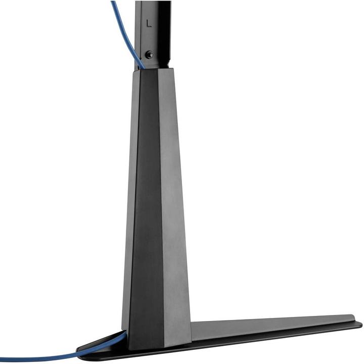 Immagine prodotto myWall HP39L (Universale, 70", 50 kg)
