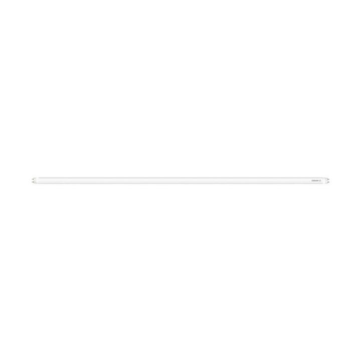 Actual product image Osram Neutral (G13, 8 W, 800 lm, 1 x, D)