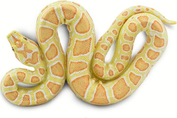 Produktbild Safari Burmesische Albino Python