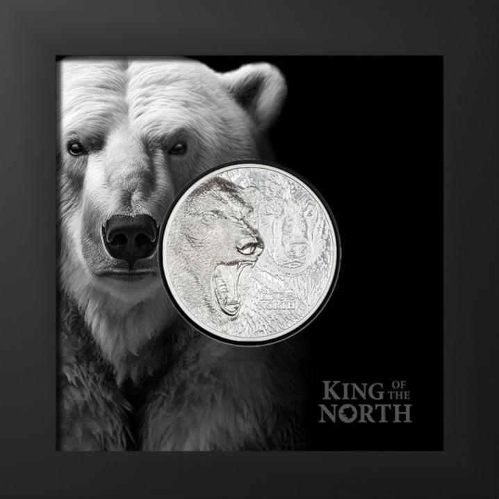 Immagine prodotto CIT Coin Invest Re del Nord in argento - Orso Polare da 1 oz PP - Ultra High Relief 2024 (999, 2024)