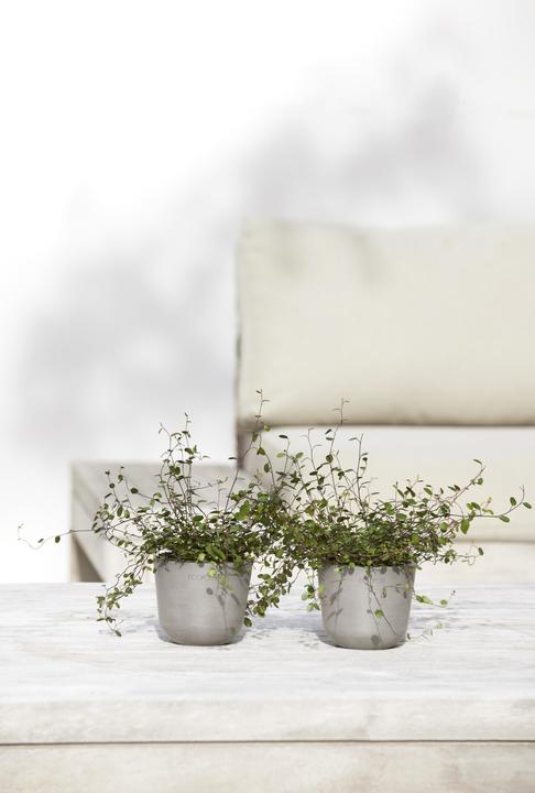 Image du produit Ecopots Oslo Mini (16 cm)