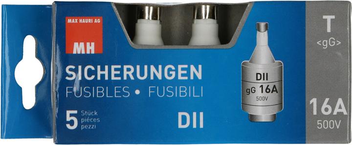 Actual product image Max Hauri Fuse DT (16 A, Lazy)
