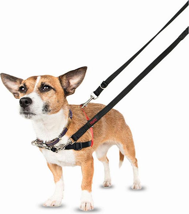 Produktbild Company of Animals Halti Antizug M Front Control (M, Hund, Allgemein)