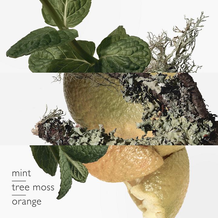 Actual product image Hermès Eau d'orange verte (Eau de parfum, 200 ml)