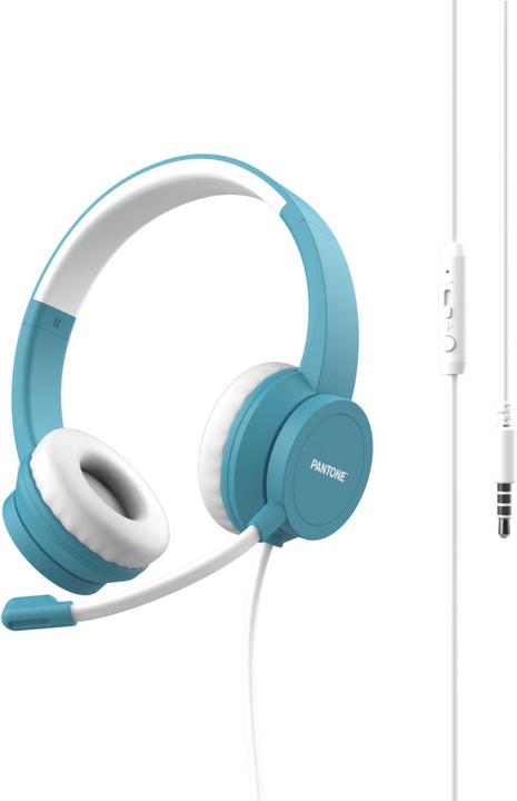 Pantone Panto (Cablato)
