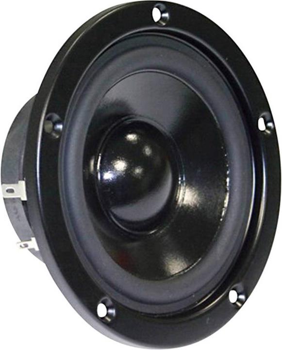 Actual product image Visaton W 100 S