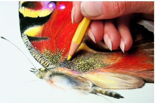 Produktbild Caran d'Ache Prismalo Aquarelle (Braun, 1 x)