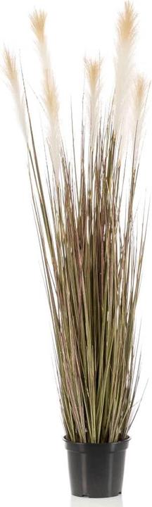 Produktbild Emerald Künstliche Pflanze (120 cm)
