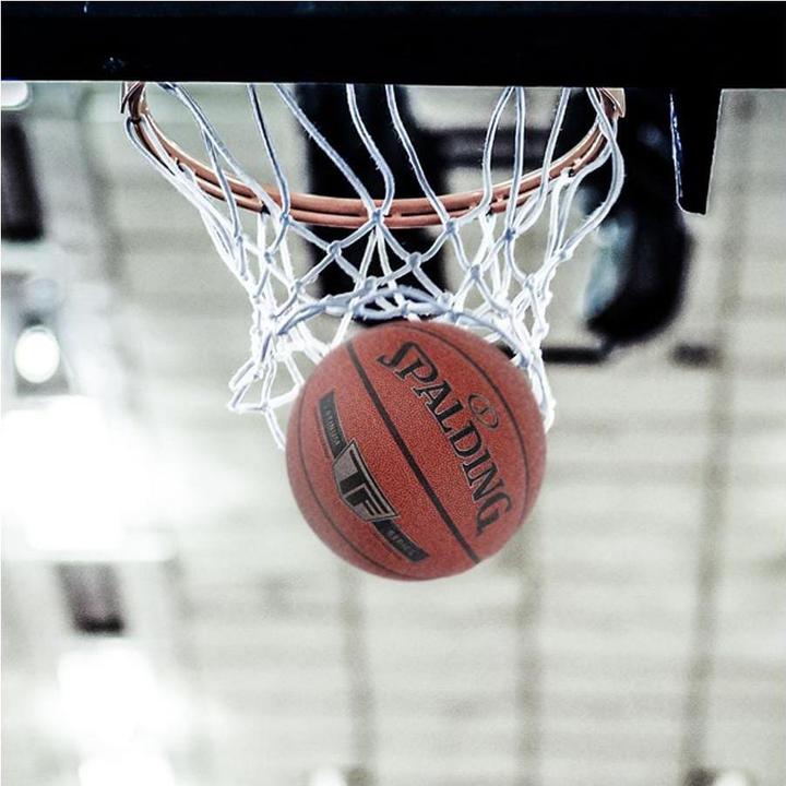 Image du produit Spalding TF Gold (7)
