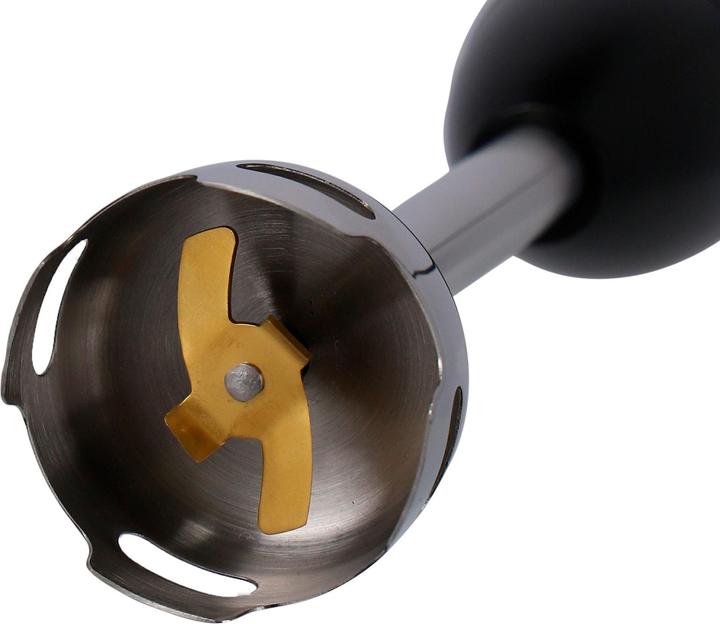 Actual product image Rotel hand blender titanium