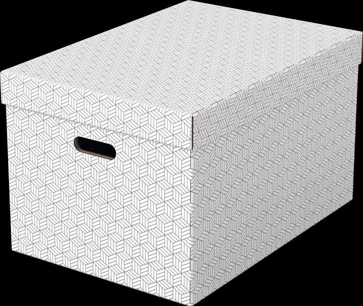 Actual product image Esselte HOME - Storage boxes (A3)