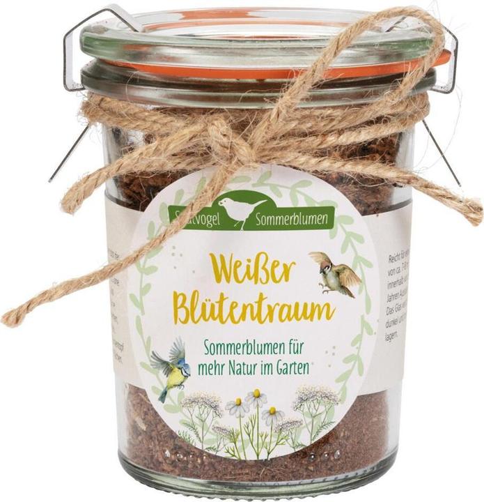 Weisser Blütentraum - Sommerblumen für mehr Natur im Garten (Trockenblumen)