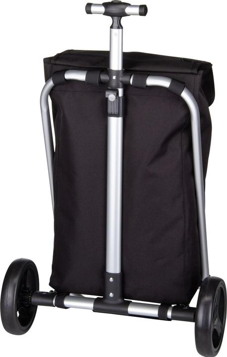 Actual product image reisenthel Shopping Trolley