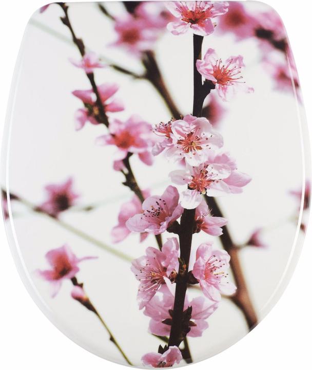 Produktbild Diaqua Sakura