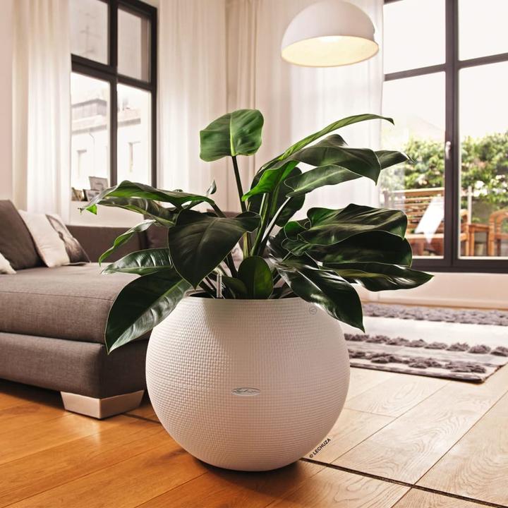 Produktbild Lechuza PURO Color 50 (49 cm)