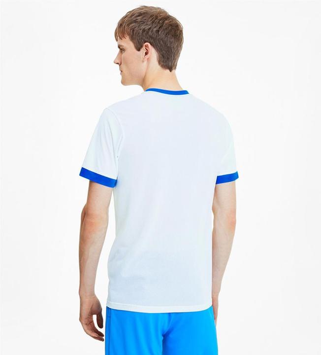 Actual product image Puma teamGOAL 23 Jersey-704171 (M)