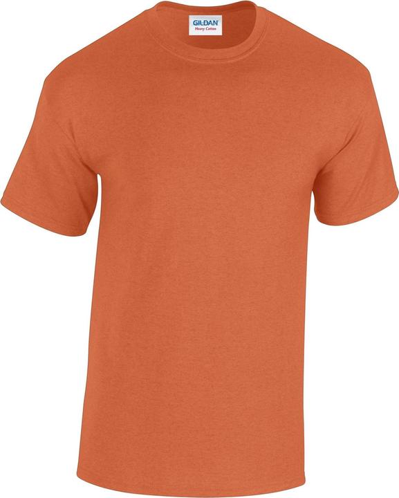 Gildan Heavy Cotton TShirt (3XL)