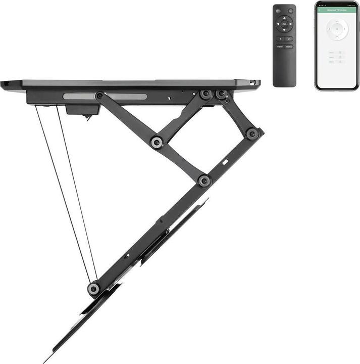 Image du produit SpeaKa Professional SP-TVCM-510 (Plafond, 55", 30 kg)
