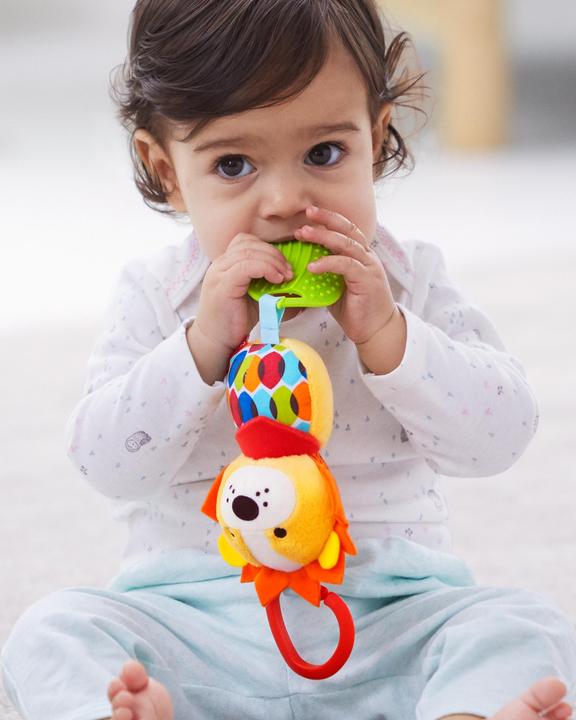 Actual product image Skiphop Hanging toy lion