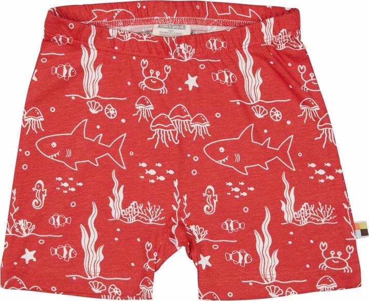 loud + proud Short Druck (80)
