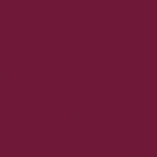 Immagine prodotto Naj Oleari Creamy Delight Lipstick 19 Marsala 4.2g (19 Marsala)