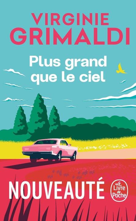 Plus grand que le ciel (Francese, Virginie Grimaldi, 2025)