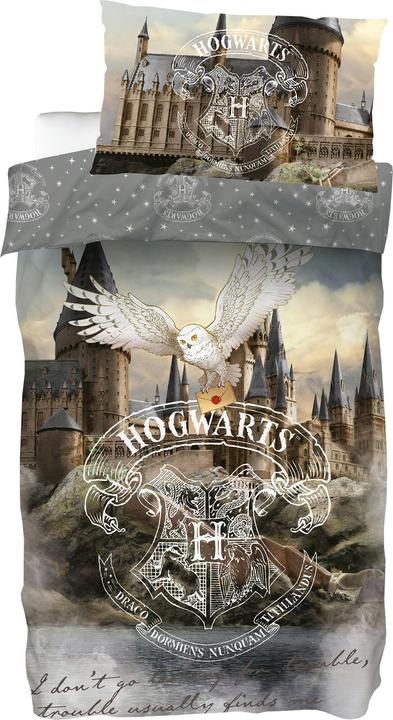 SkyBrands Harry Potter Hogwarts Castle