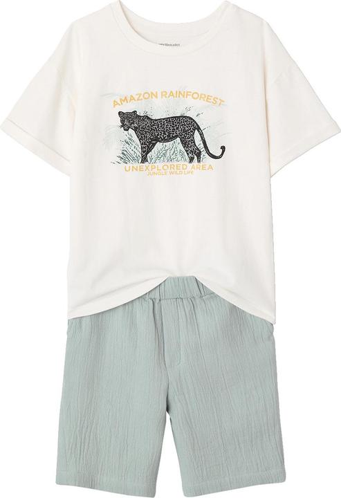 Actual product image Vertbaudet Jungen-Set: T-Shirt & Shorts (152)