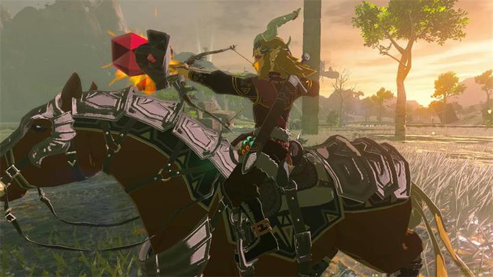 Actual product image Nintendo The Legend of Zelda: Tears of the Kingdom - Switch 2 Edition (Switch 2, DE, FR, IT)