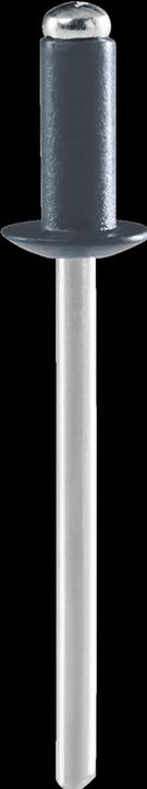 Actual product image Rapid Dark grey blind rivet Ø 4.8 x 12 mm