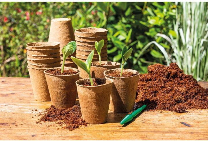 Actual product image Romberg Cultivation pots